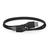 Cable USB-C à USB-C de 30cm