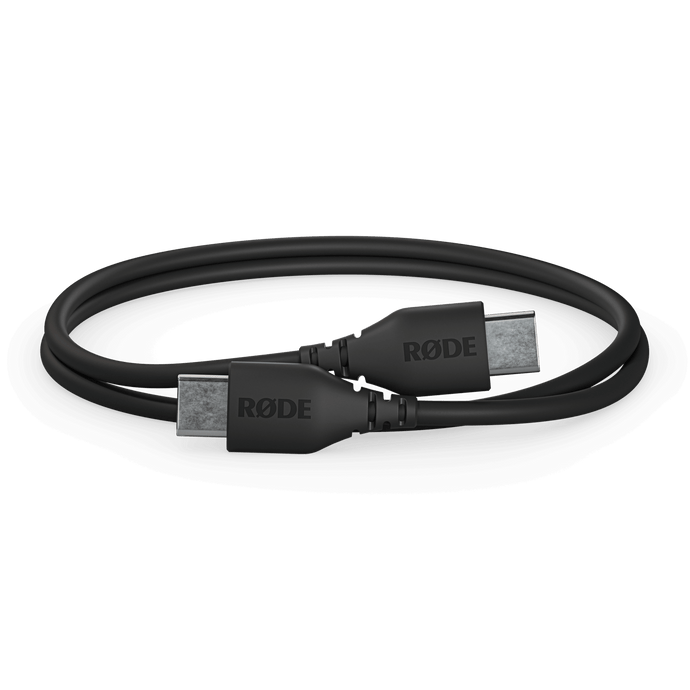 Cable USB-C à USB-C de 30cm