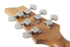 Guitare électrique C-1 Standard Plus, dégradé noir transparent(pas d’étui)