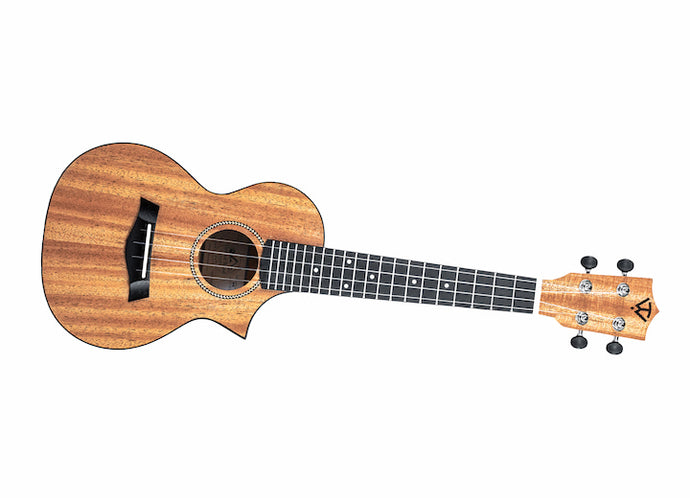 TWISTED WOOD / EM-600C / Ember Cutaway Concert Mahogany Ukulele Laminated Side and Back with Case