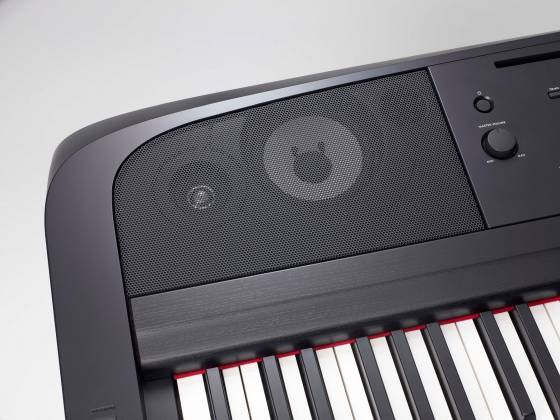 Load image into gallery viewer, DGX Series Digital Piano with Mic Input and Stand
