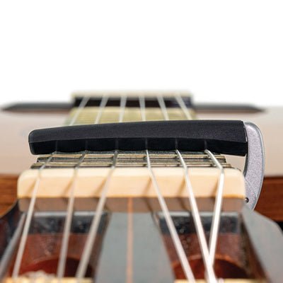 Capodastre D'Addario Pro Plus, Argent - Drummond Musique