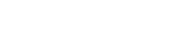 SE ELECTRONICS