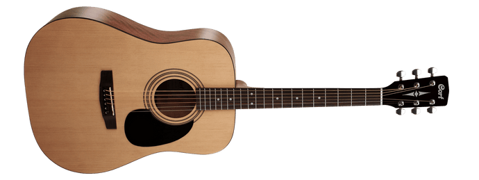 Acoustic guitar 