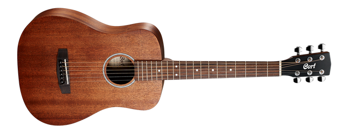 Concert acoustic guitar 