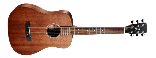 Concert acoustic guitar 