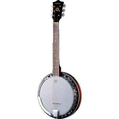 6-string banjo 