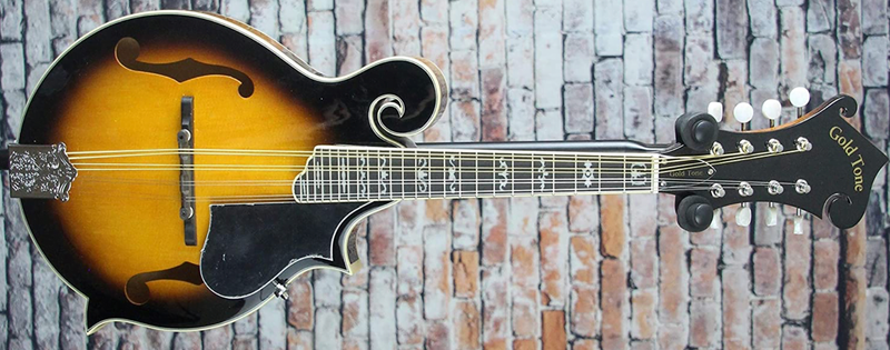 Load image into gallery viewer, GOLD TONE / “F-style” mandolin with case.
