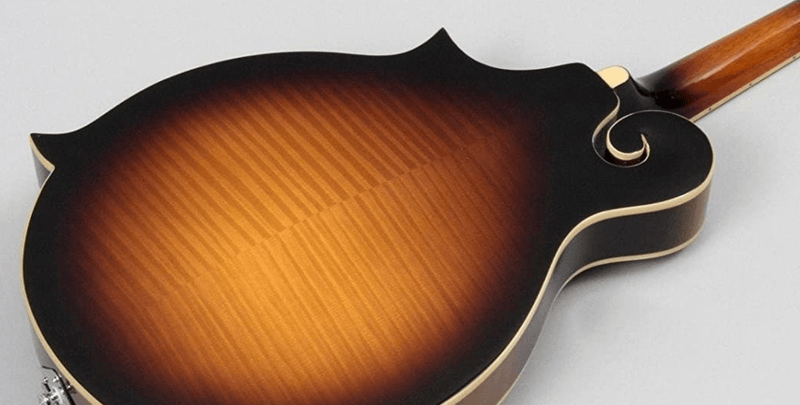 Load image into gallery viewer, GOLD TONE / “F-style” mandolin with case.
