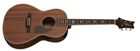 Parlor SE P20 acoustic guitar