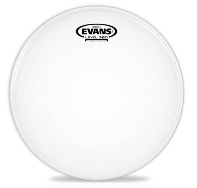 EVANS / B14G1 / 14'' coated 1 ply