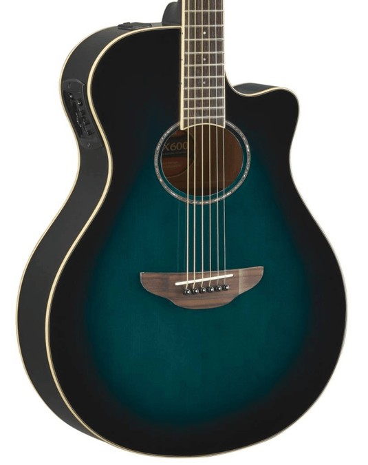 “APX600” electro-acoustic guitar