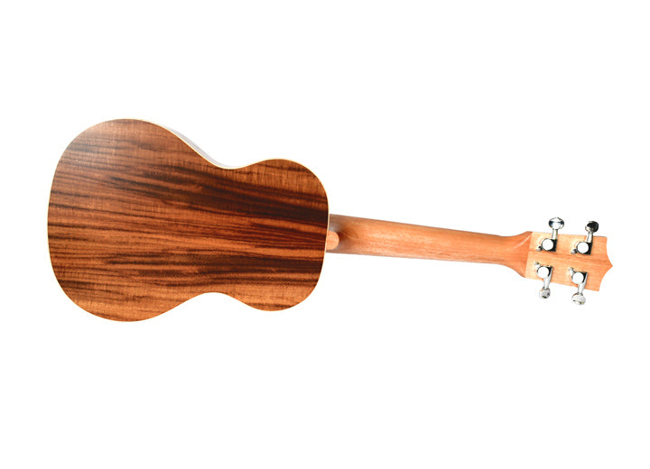 Load image into gallery viewer, TWISTED WOOD / AR-800C / Aurora, Concert Ukulele with case
