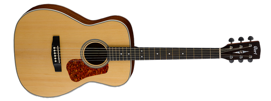 Concert acoustic guitar 