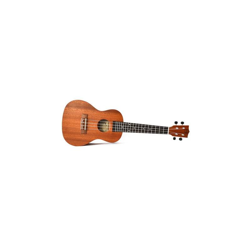 Load image into gallery viewer, Twisted Wood / TY-050C / Tyro Concert Ukulele 
