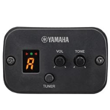 Guitare électro-acoustique 3/4 "APXT2"