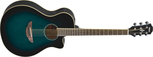 “APX600” electro-acoustic guitar