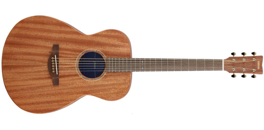 Acoustic guitar 