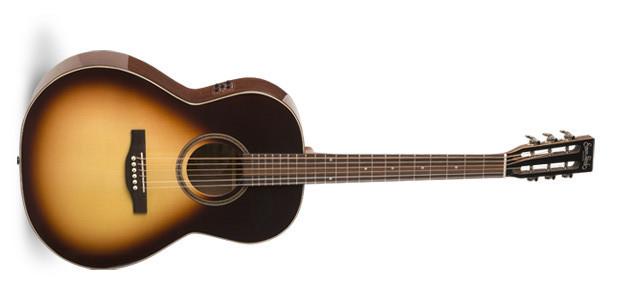 “Woodland Pro” folk acoustic guitar