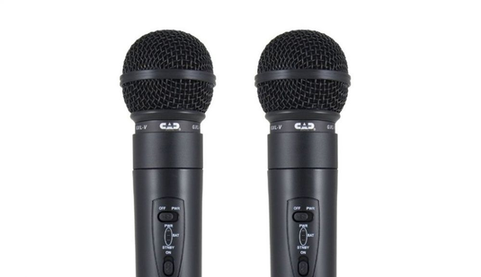 Système de deux microphones sans-fil 