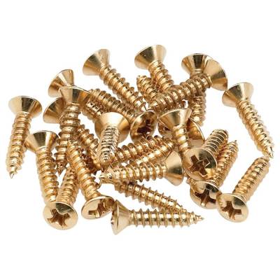 Control Plate/Pickguard Mounting Screws (24) - Gold