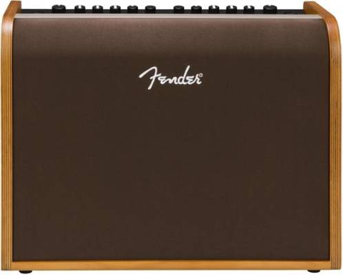 Acoustic guitar amplifier 