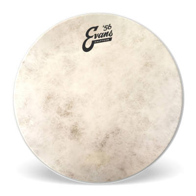 EVANS / TT12C7 / Peau Tom Batter 12’’ Calftone