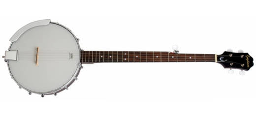 5-string banjo 