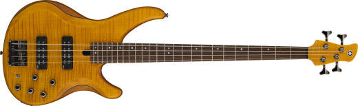 4-string electric bass 