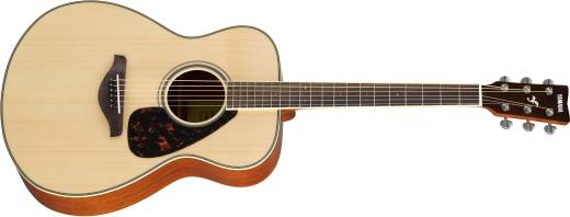 Acoustic guitar 