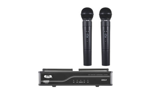 Système de deux microphones sans-fil 