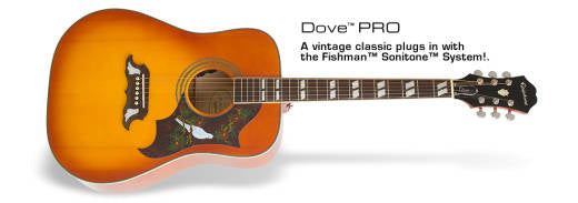 Dove Pro electro-acoustic guitar - Violin Burst