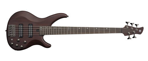 5-string electric bass 