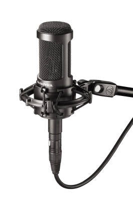 AUDIO-TECHNICA / AT2050 / Multidirectional Condenser Microphone