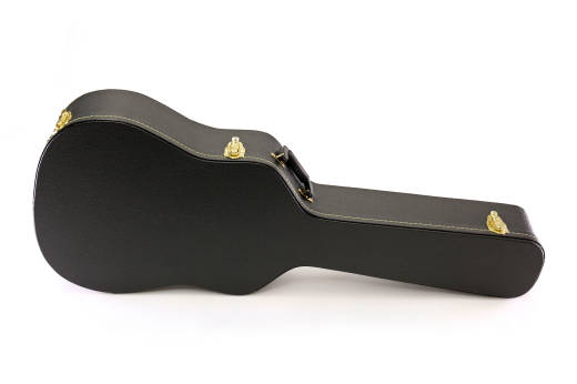 Regular hard acoustic case