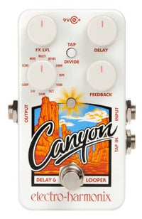 "CANYON" delay and looper pedal