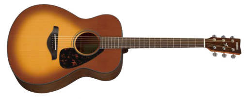 Acoustic guitar 