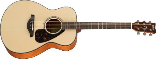 Acoustic guitar 