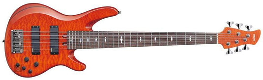 6-string electric bass 